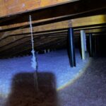 go green insulation