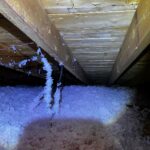 go green insulation