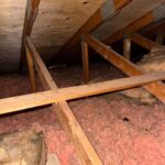 go green insulation