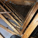go green insulation