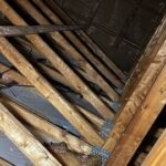 go green insulation