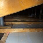 go green insulation