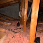 go green insulation