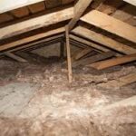 go green insulation