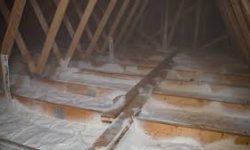 images (8) - Copy